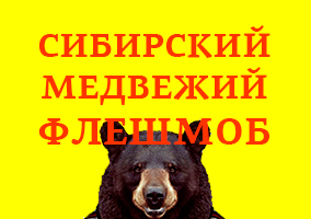 Сибирский Медвежий Флешмоб